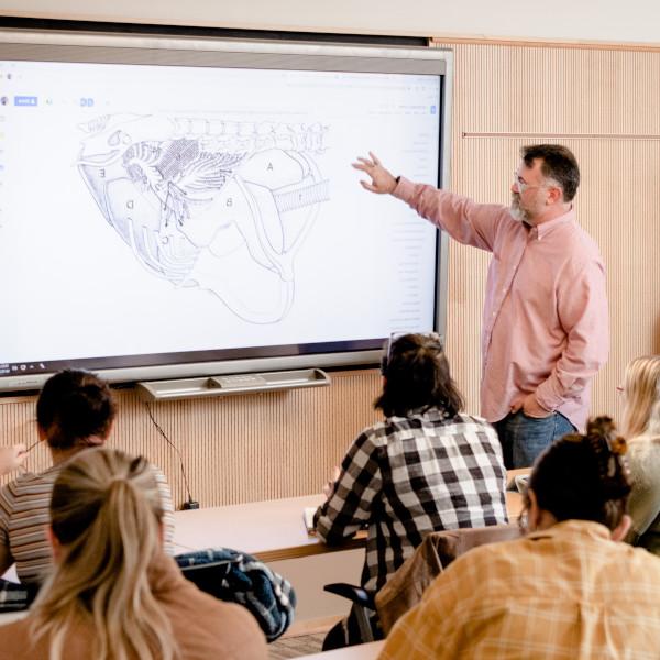 Wilkes University biology major and minor programs.